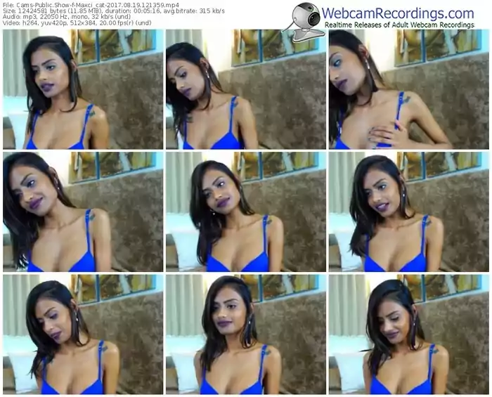 cams-maxci_cat-webcam-show-08_19_2017-12_13_59