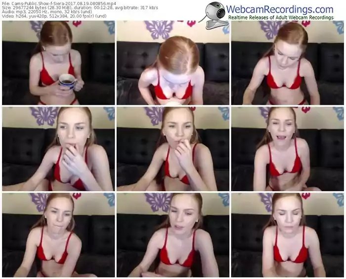 cams-siera-webcam-show-08_19_2017-08_08_56