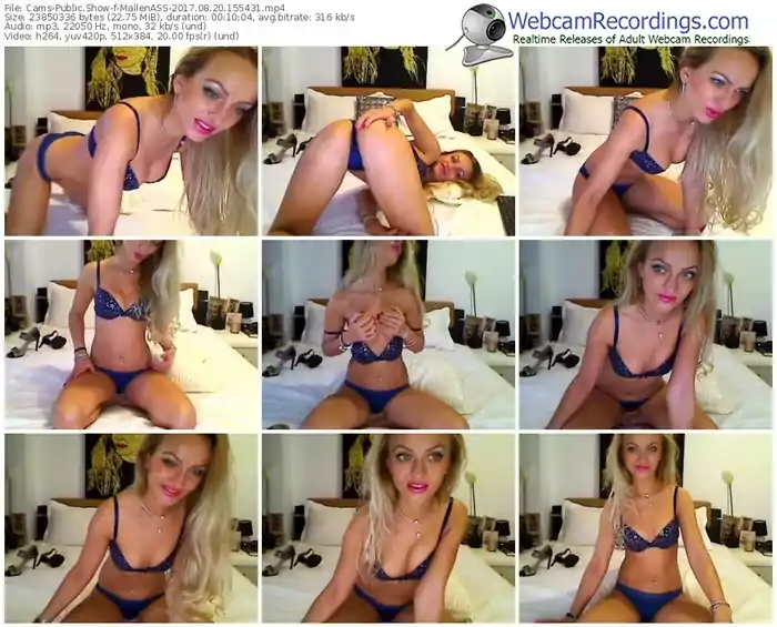 cams-mallenass-webcam-show-08_20_2017-15_54_31
