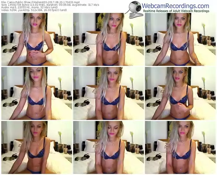 cams-mallenass-webcam-show-08_20_2017-17_04_33