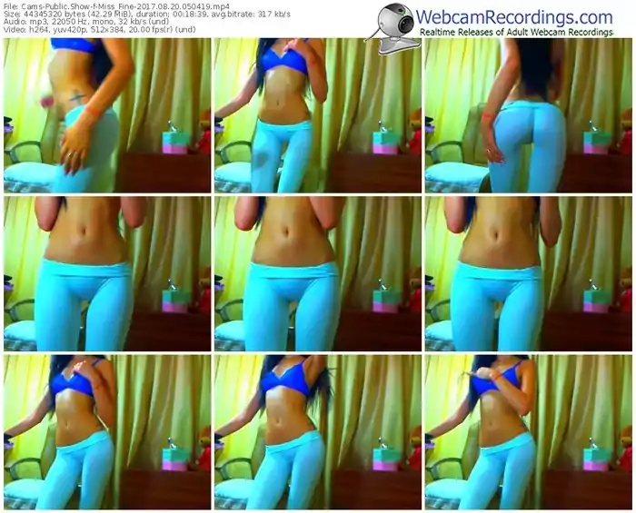 cams-miss_fine-webcam-show-08_20_2017-05_04_19