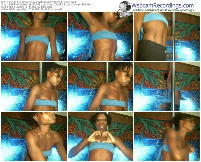 cams-savannah80-webcam-show-08_20_2017-11_59_27