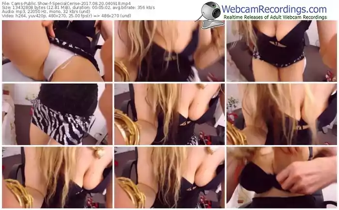 cams-specialcerise-webcam-show-08_20_2017-04_09_18