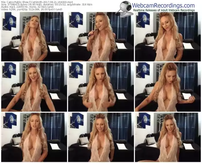 cams-catsmith-webcam-show-08_21_2017-16_40_00