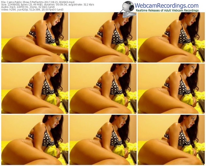 cams-perfectits-webcam-show-08_21_2017-00_49_43