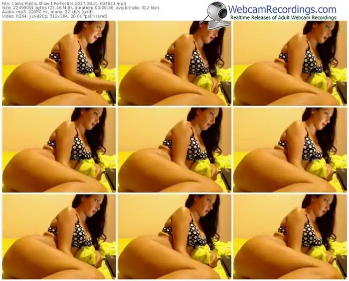 cams-perfectits-webcam-show-08_21_2017-00_49_43