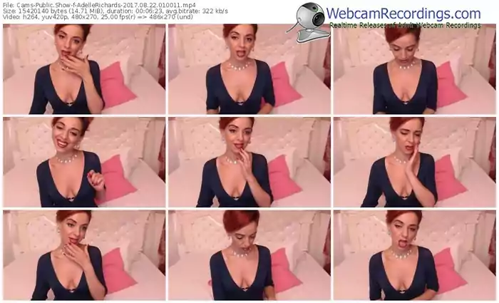 cams-adellerichards-webcam-show-08_22_2017-01_00_11