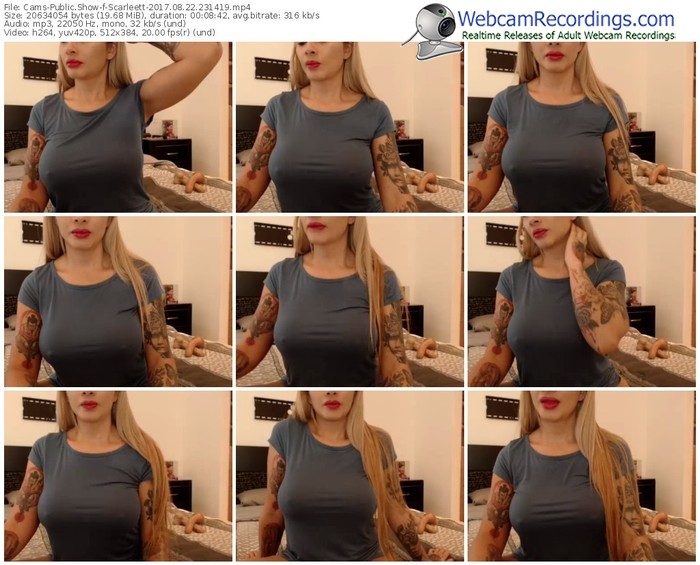 cams-scarleett-webcam-show-08_22_2017-23_14_19
