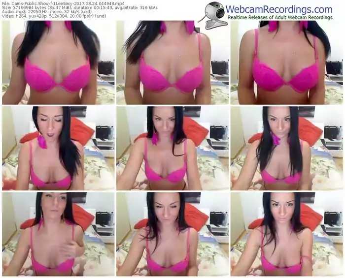 cams-1leesexy-webcam-show-08_24_2017-04_49_48