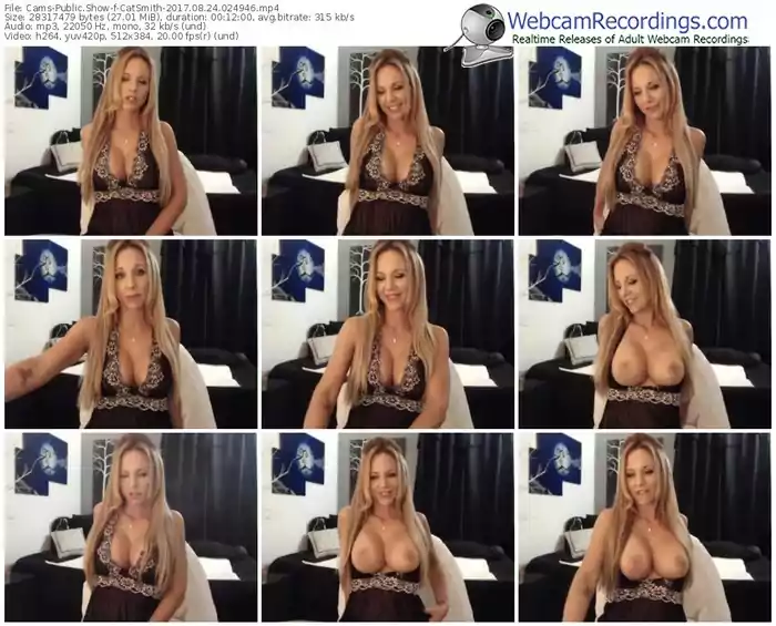 cams-catsmith-webcam-show-08_24_2017-02_49_46
