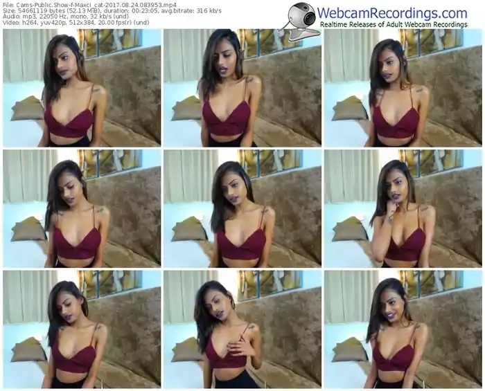 cams-maxci_cat-webcam-show-08_24_2017-08_39_53