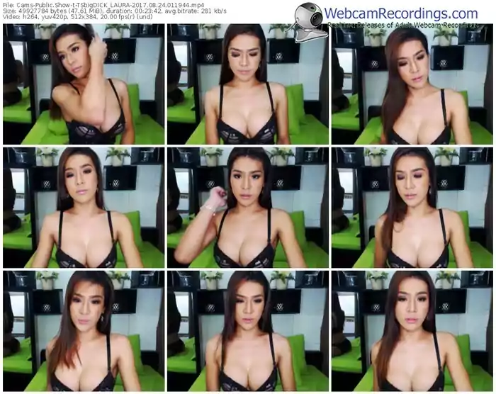 cams-tsbigdick_laura-webcam-show-08_24_2017-01_19_44