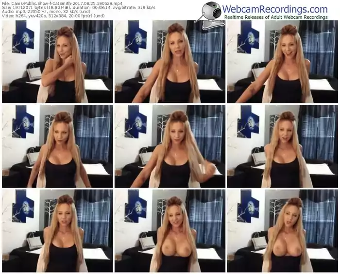 cams-catsmith-webcam-show-08_25_2017-19_05_29