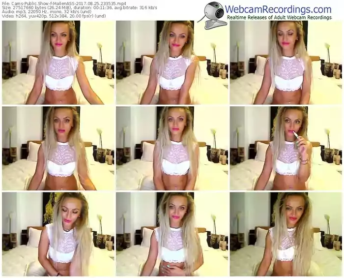 cams-mallenass-webcam-show-08_25_2017-23_35_35