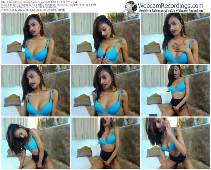 cams-maxci_cat-webcam-show-08_25_2017-10_10_20