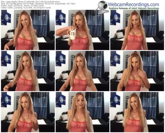 cams-catsmith-webcam-show-08_28_2017-16_31_46
