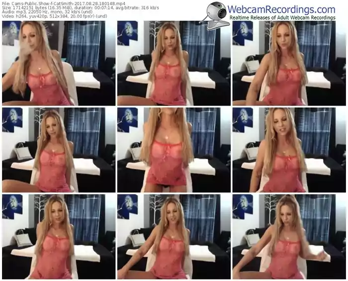 cams-catsmith-webcam-show-08_28_2017-18_01_48