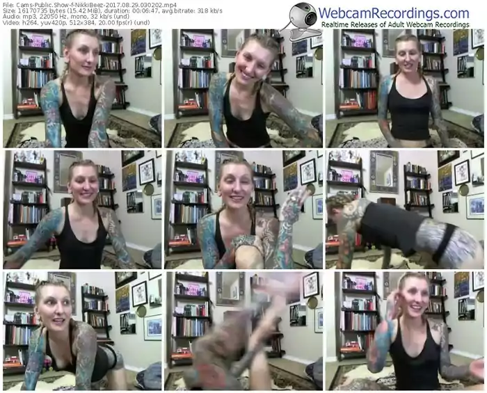 cams-nikkibeez-webcam-show-08_29_2017-03_02_02