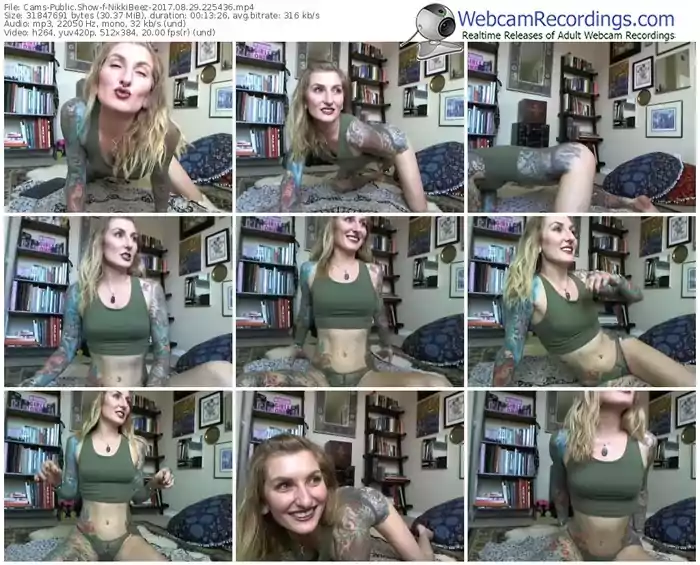 cams-nikkibeez-webcam-show-08_29_2017-22_54_36