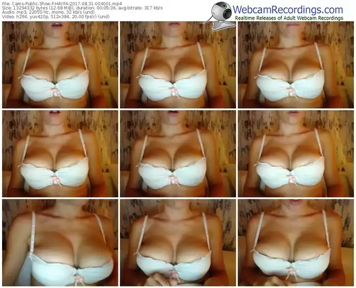 cams-hayfa-webcam-show-08_31_2017-00_40_01