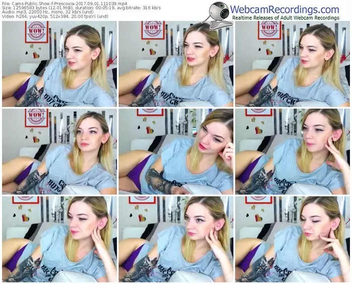 cams-prescovia-webcam-show-09_01_2017-11_10_39