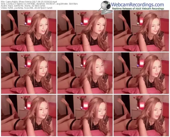 cams-amia-webcam-show-09_15_2017-01_56_16