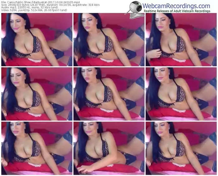 cams-barbyekat-webcam-show-10_04_2017-04_31_05