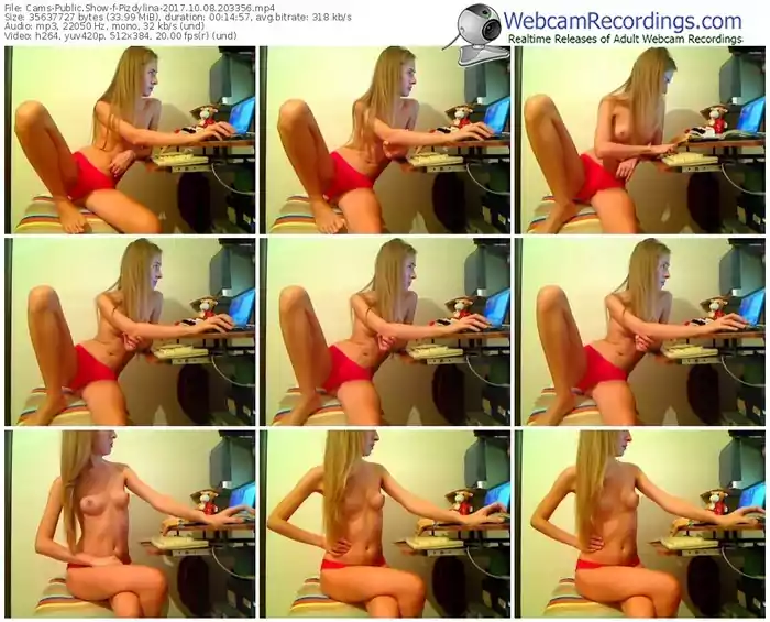 cams-pizdylina-webcam-show-10_08_2017-20_33_56