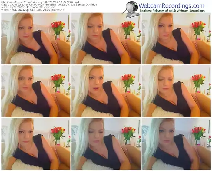 cams-kitensquirtt-webcam-show-10_19_2017-04_52_48