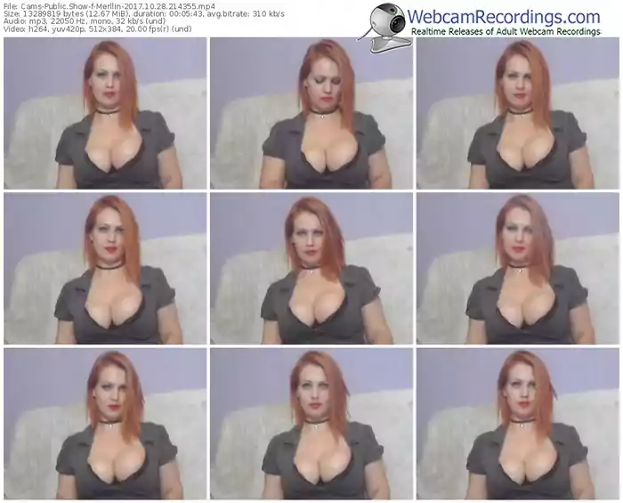 cams-merllin-webcam-show-10_28_2017-21_43_55