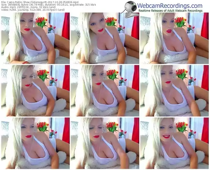 cams-kitensquirtt-webcam-show-10_28_2017-05_48_39