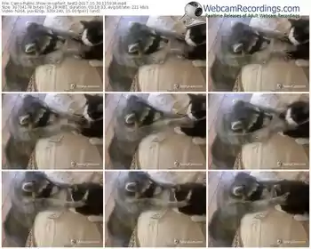 cams-upforit_test2-webcam-show-10_30_2017-11_59_34