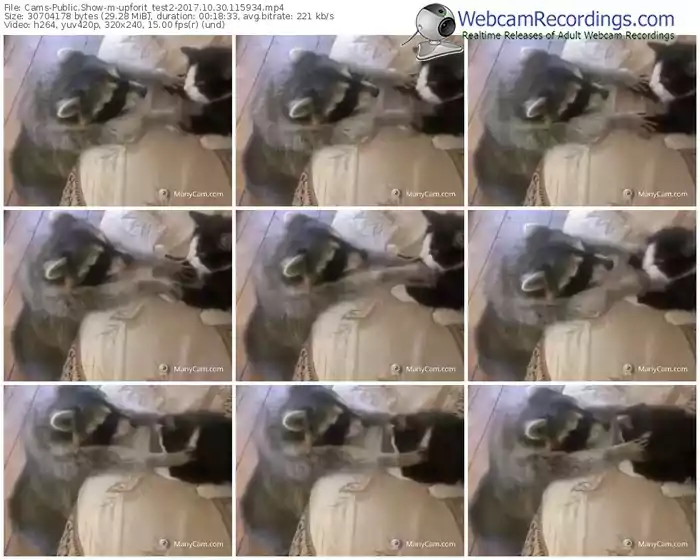 cams-upforit_test2-webcam-show-10_30_2017-11_59_34