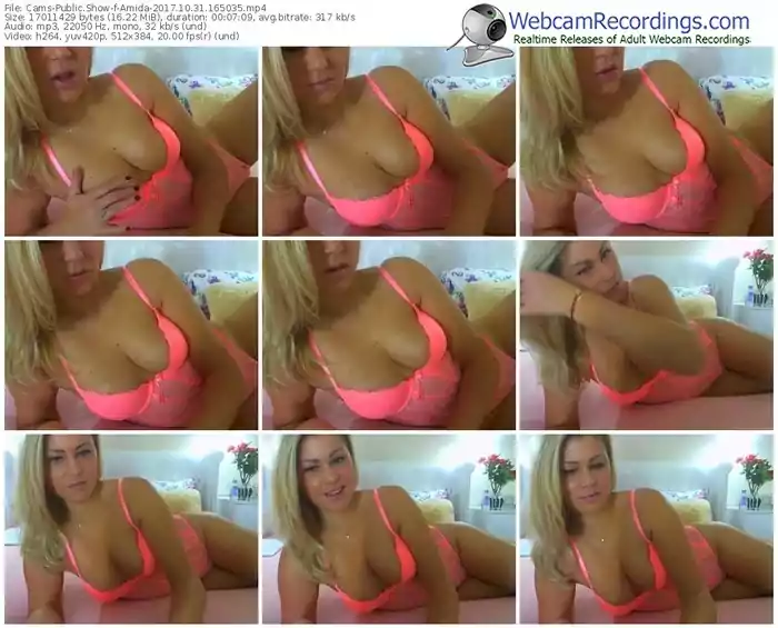 cams-amida-webcam-show-10_31_2017-16_50_35