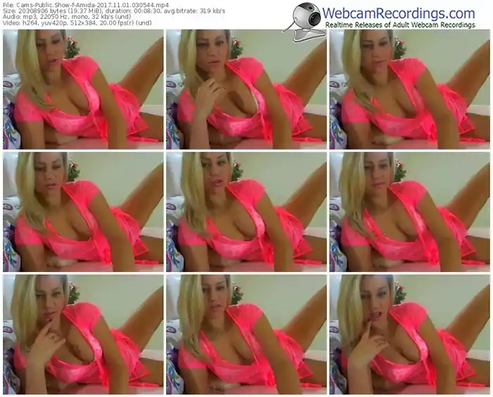 cams-amida-webcam-show-11_01_2017-03_05_44