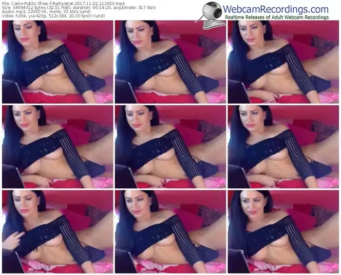 cams-barbyekat-webcam-show-11_02_2017-11_26_50