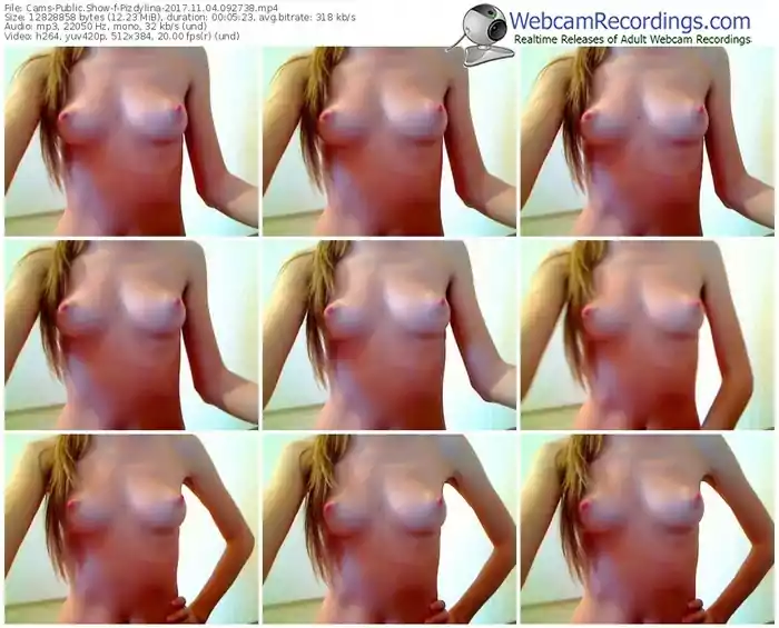 cams-pizdylina-webcam-show-11_04_2017-09_27_38