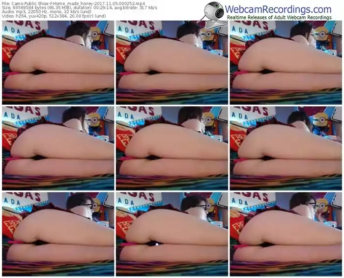 cams-home_made_honey-webcam-show-11_05_2017-00_02_52