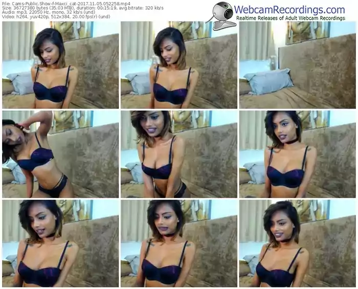 cams-maxci_cat-webcam-show-11_05_2017-05_22_58