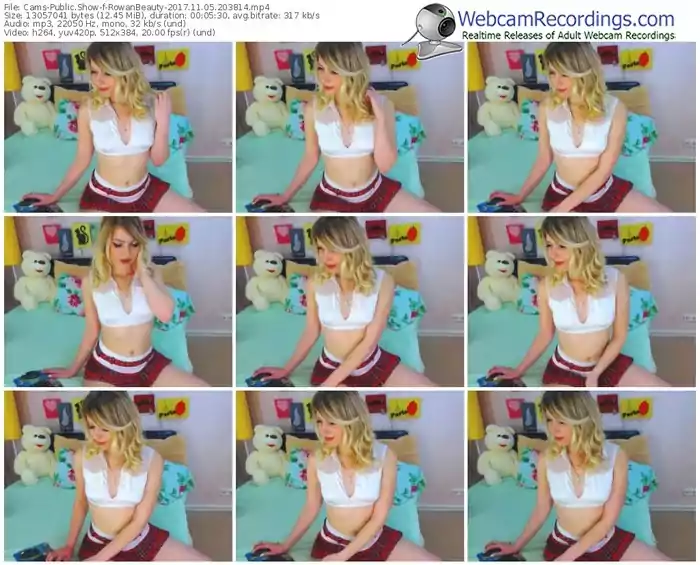 cams-rowanbeauty-webcam-show-11_05_2017-20_38_14