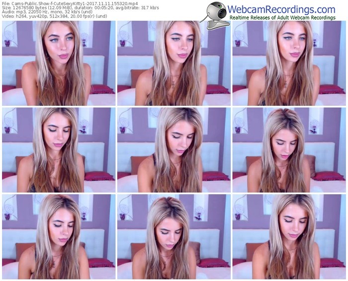 cams-cutesexykitty1-webcam-show-11_11_2017-15_53_20