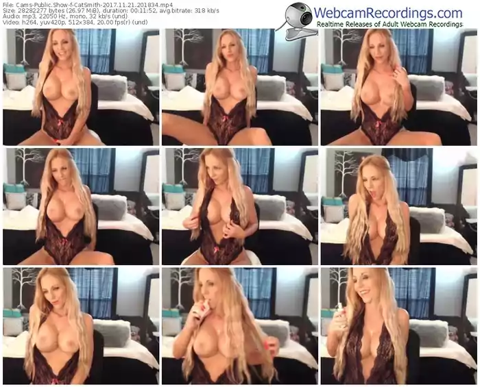 cams-catsmith-webcam-show-11_21_2017-20_18_34