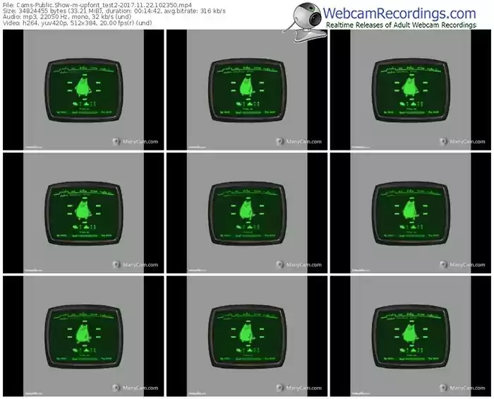 cams-upforit_test2-webcam-show-11_22_2017-10_23_50