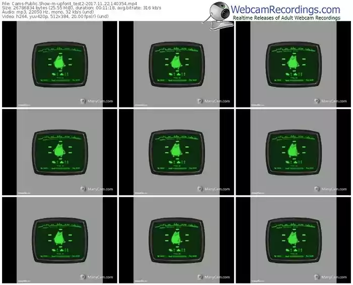 cams-upforit_test2-webcam-show-11_22_2017-14_03_54