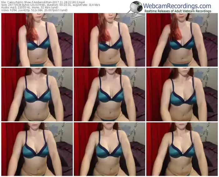 cams-amberxkitten-webcam-show-11_28_2017-21_18_12