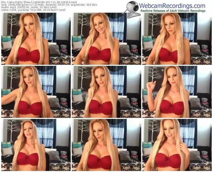 cams-catsmith-webcam-show-11_28_2017-19_43_10