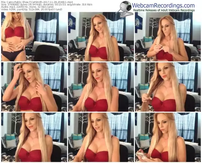 cams-catsmith-webcam-show-11_28_2017-20_48_11