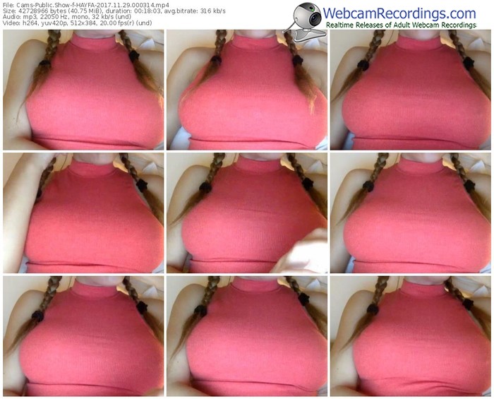 cams-hayfa-webcam-show-11_29_2017-00_03_14