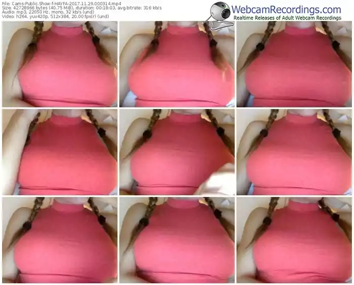 cams-hayfa-webcam-show-11_29_2017-00_03_14