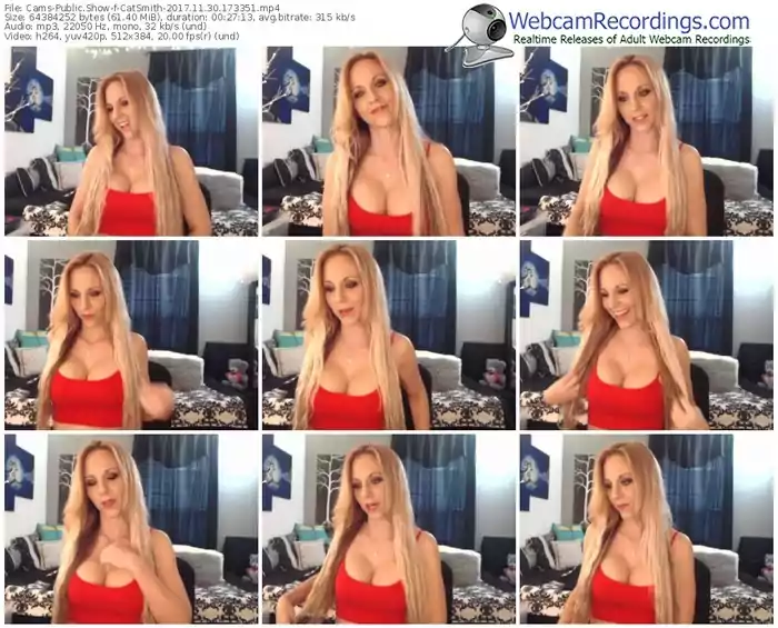 cams-catsmith-webcam-show-11_30_2017-17_33_51
